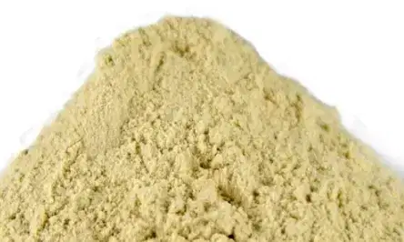 গুরুত্বপূর্ণ গমের গ্লুটেন